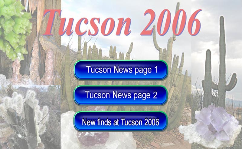 Tucson 2006