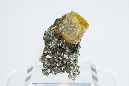 Sphalerite with Arsenopyrite, Magnetite and Muscovita. 