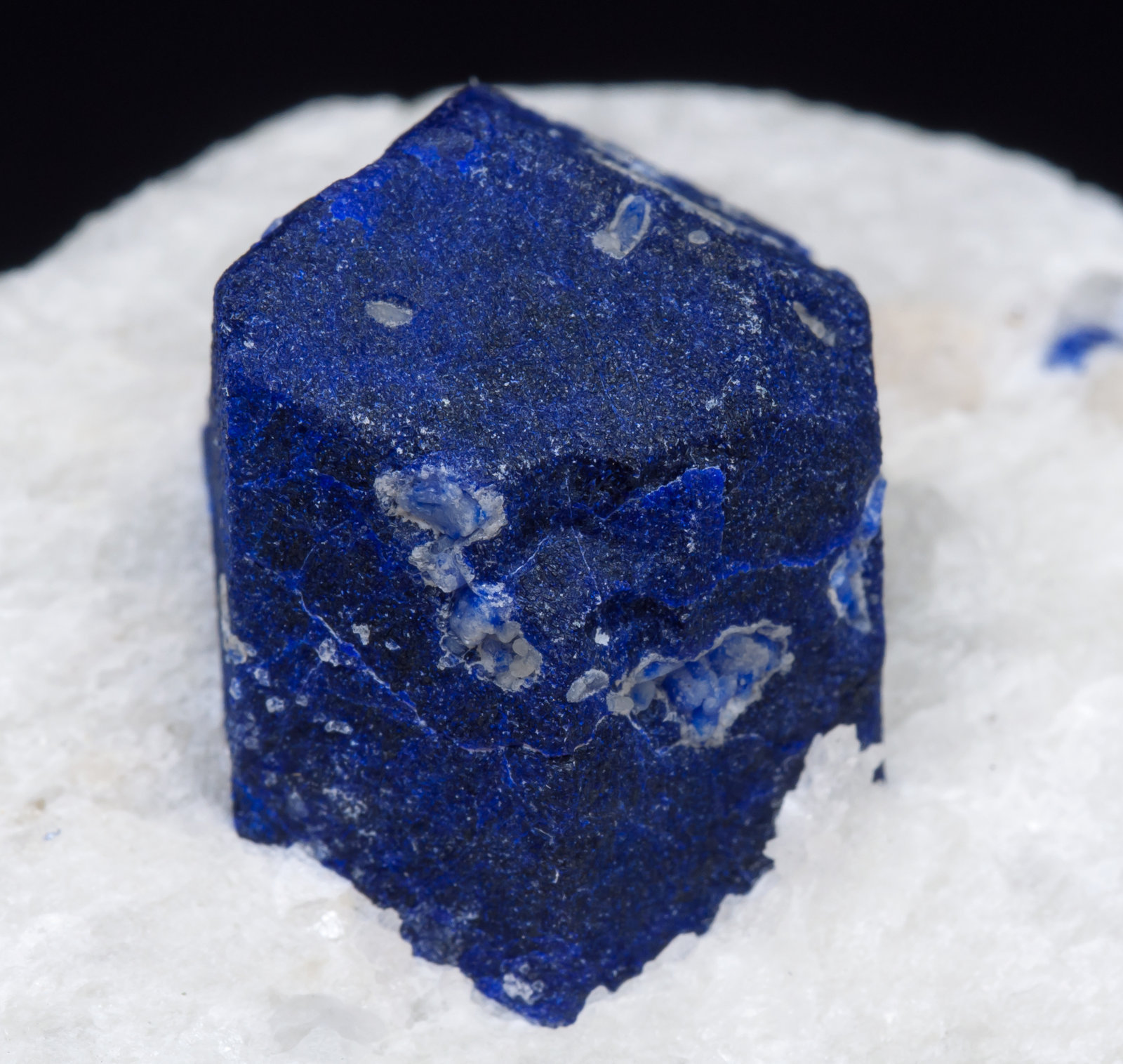 Lazurite (lapis lazuli variety) with 
