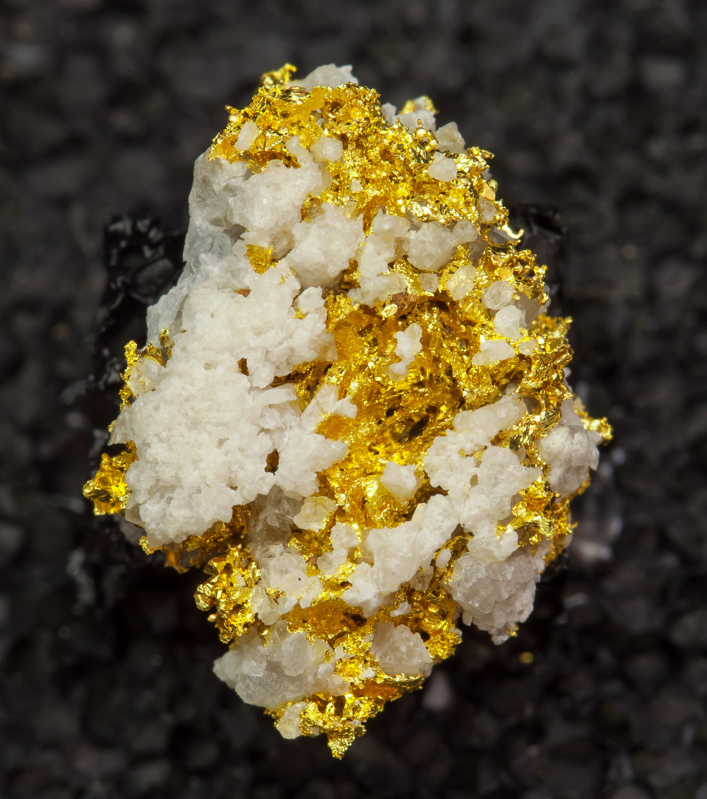 Gold with Quartz O'Brien Mine, RouynNoranda TE, Abitibi