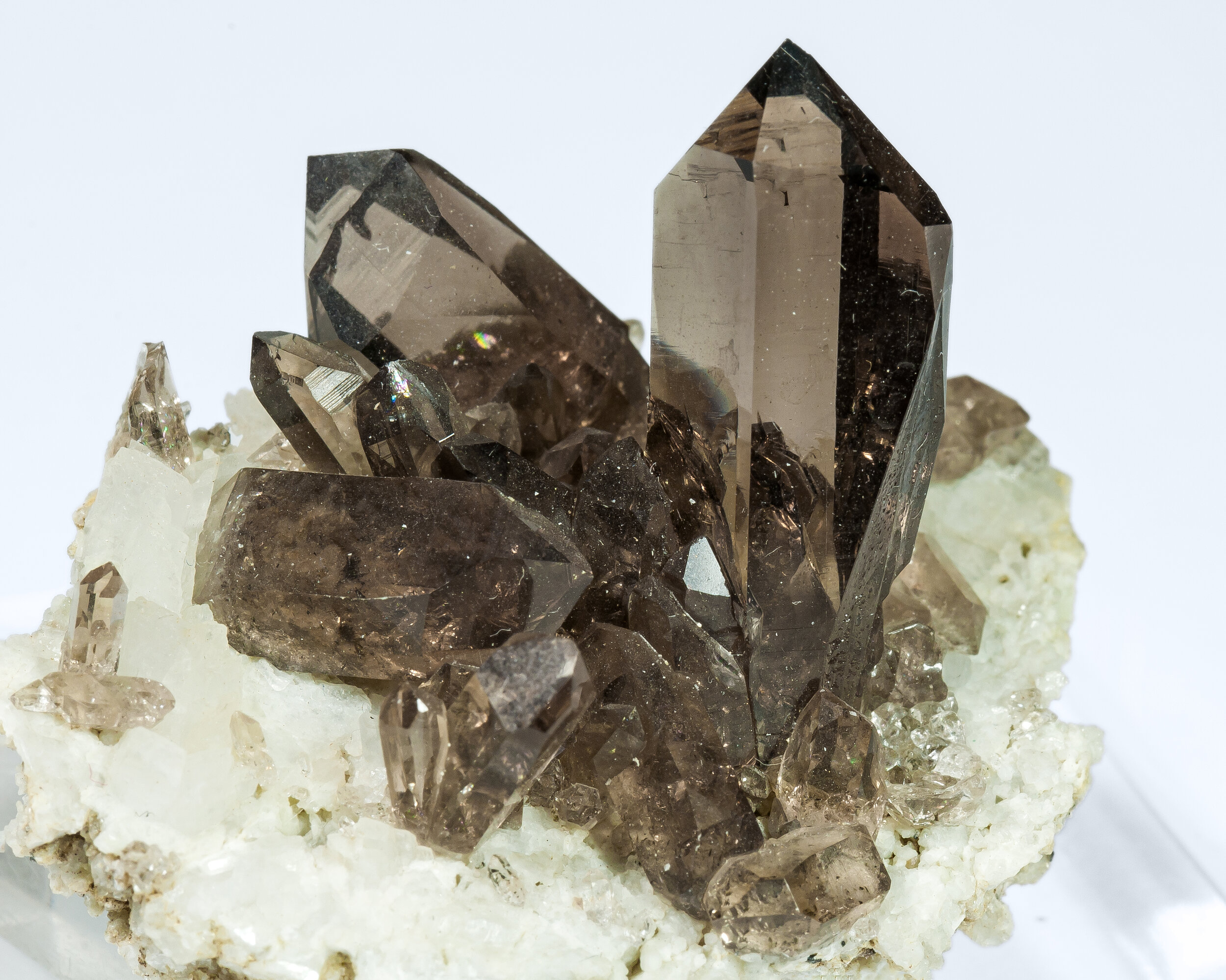 Quartz Variety Smoky With Albite North Side Les Courtes Bassin Du Tal Fre Mont Blanc