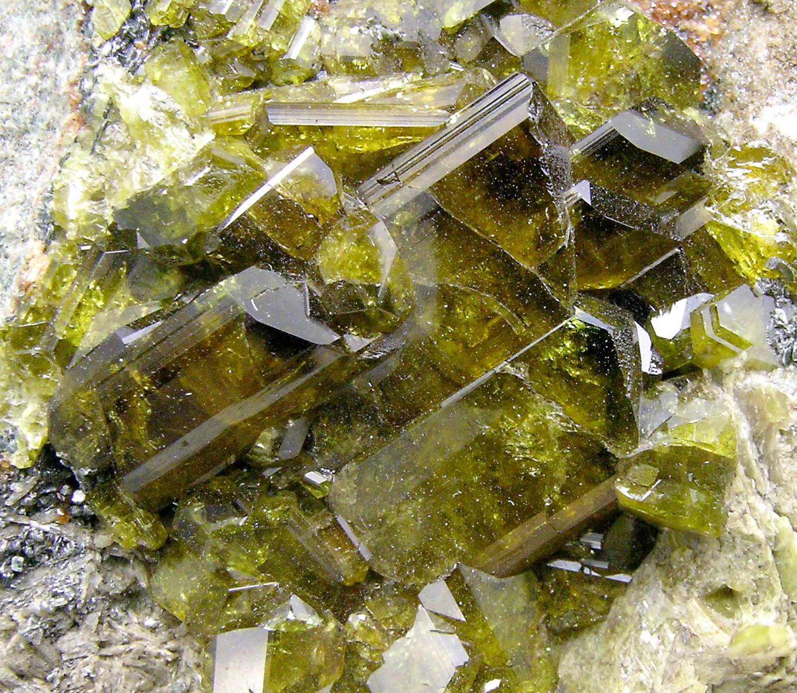 Epidote with Grossular (Hessonite) - Val di Viù (Viù Valley), Lanzo ...